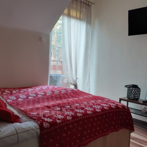 Pokój 1-osobowy na piętrze z widokiem na las