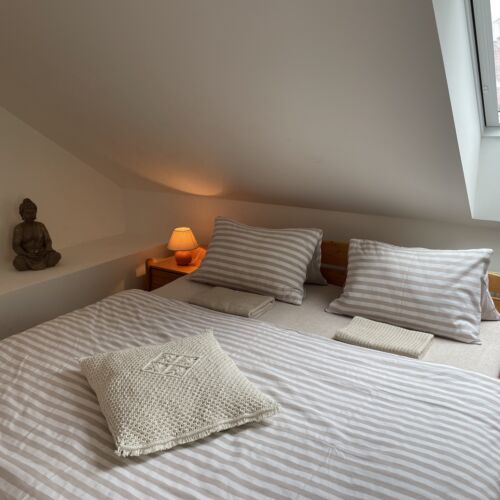 Pokoj se společnou koupelnou s manželskou postelí v podkroví