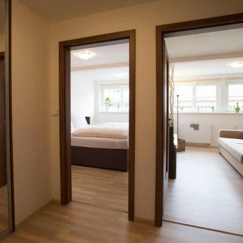 Superior Apartman se sprchou s manželskou postelí s 1 ložnicí