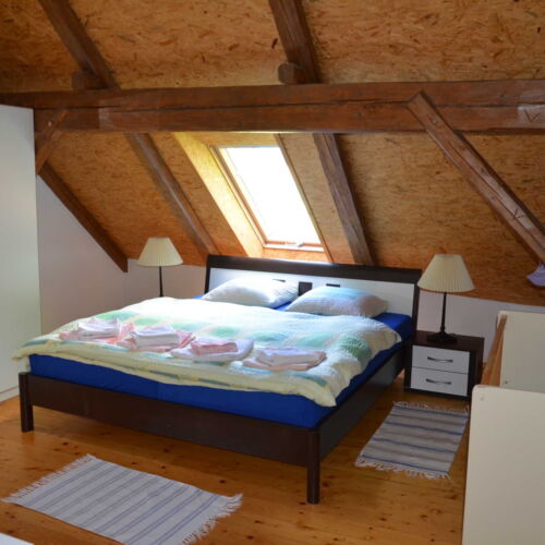 Camera tripla cu duș