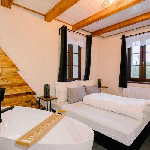 Apartament 2-osobowy z wanną z aneksem kuchennym z 1 pomieszczeniem sypialnianym (możliwa dostawka)