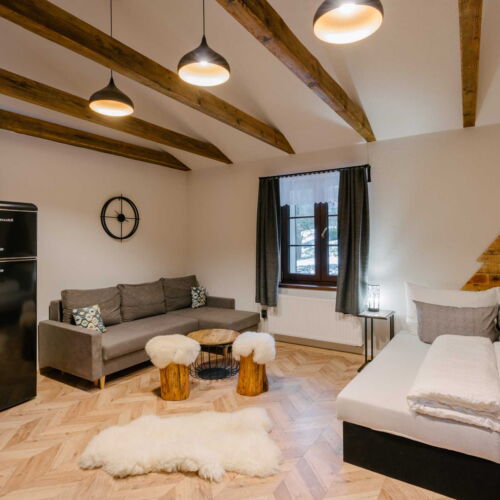 Apartament 2-osobowy z prysznicem z aneksem kuchennym z 1 pomieszczeniem sypialnianym (możliwa dostawka)