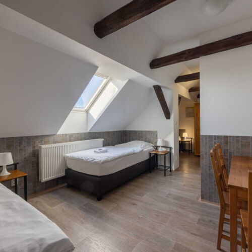 Economy Pokoj se sprchou pro 3 os.