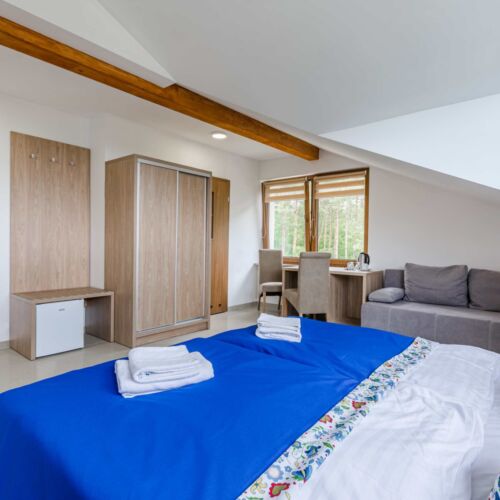 Forest View Mansard Twin Room