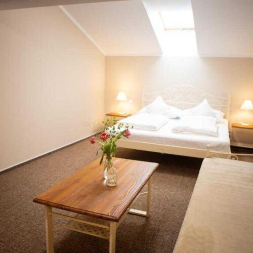 Pokoj se sprchou  pro 4 os.