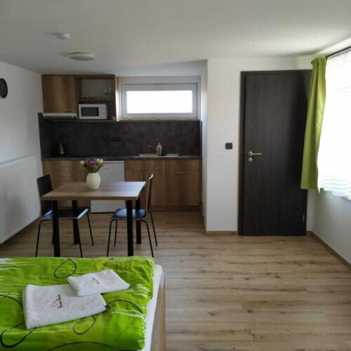 Pokoj se sprchou s privátní koupelnou mimo apartmán pro 4 os.