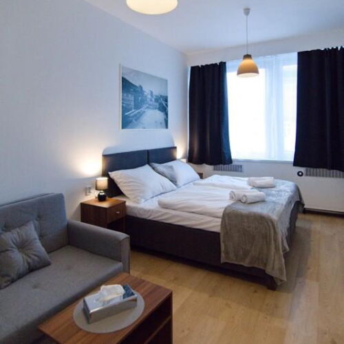 Deluxe Pokoj se sprchou pro 2 os. (s možností přistýlky)