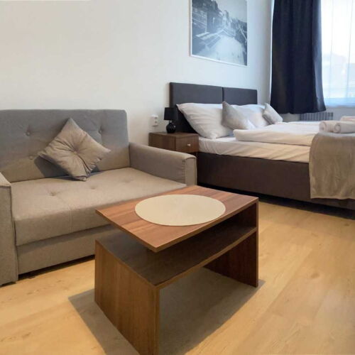 Pokoj se sprchou  pro 4 os.