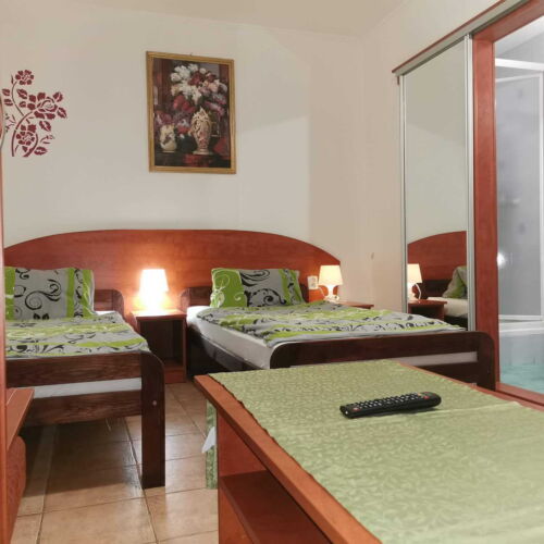 Triple Room with Shower and Terrace