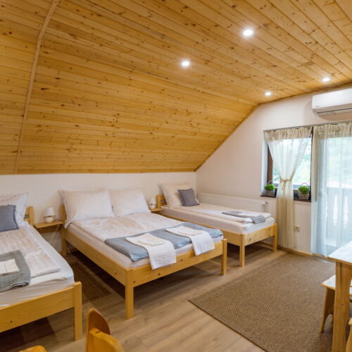 Apartament 4-osobowy na piętrze z widokiem na park z 1 pomieszczeniem sypialnianym