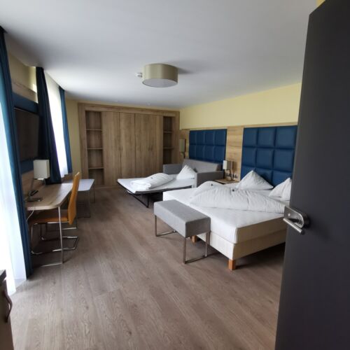 Camera dubla executive cu vedere spre munte