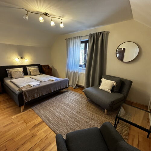 Camera dubla la mansardă cu vedere spre pădure