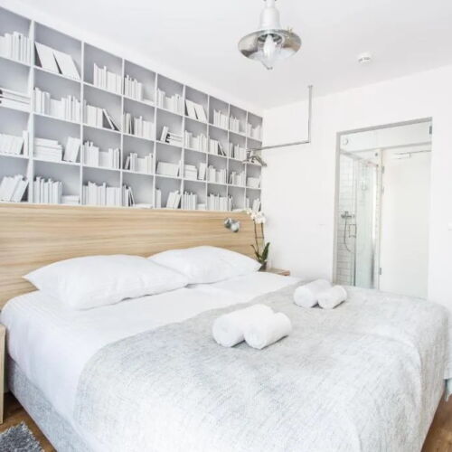 Camera dubla standard