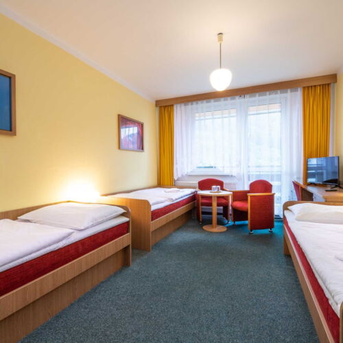 Pokój 3-osobowy Deluxe z prysznicem