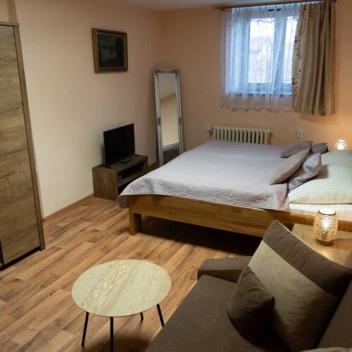 Deluxe Pokoj se sprchou pro 3 os.