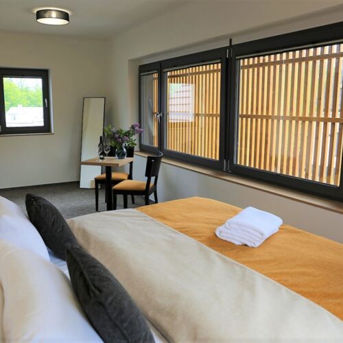 Double Room with Shower (extra bed available)