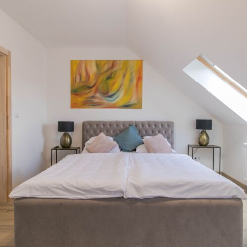 Apartament cu 1 camera pentru 2 pers.