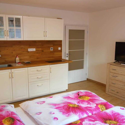 Apartman se sprchou s privátní koupelnou mimo apartmán pro 2 os.