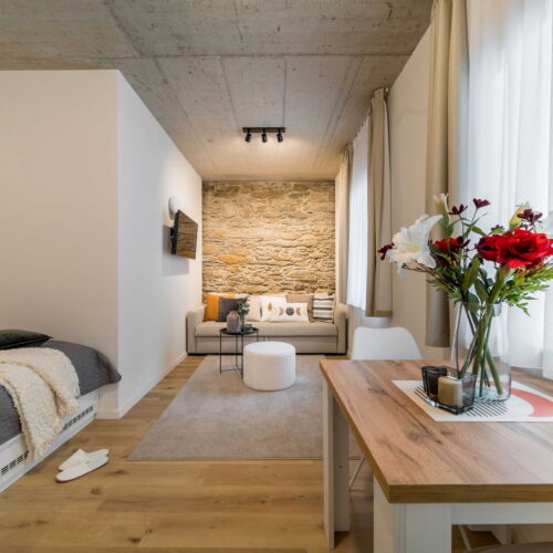 Studio Apartment for 2 Persons with Shower