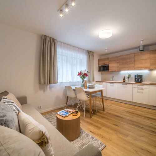Apartment for 4 Persons with Shower and Kitchen (extra bed available)