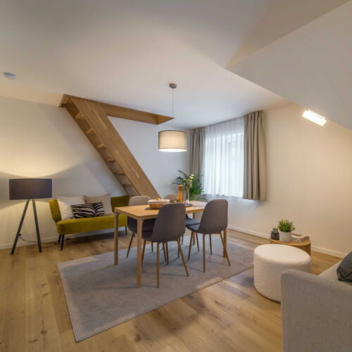 Apartment for 3 Persons with Shower and Kitchen (extra beds available)