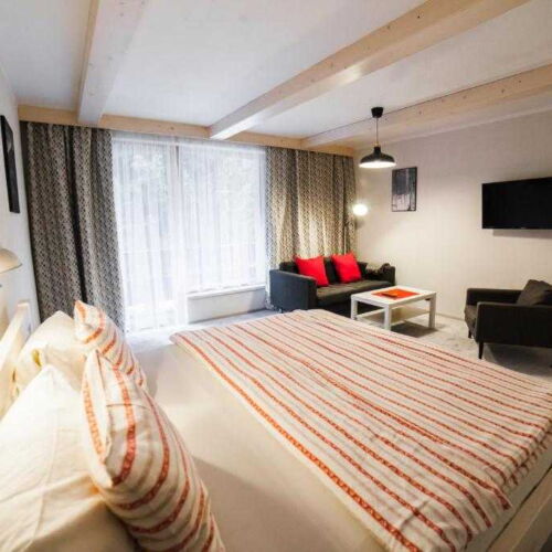 Superior Apartment for 2 Persons with Shower
