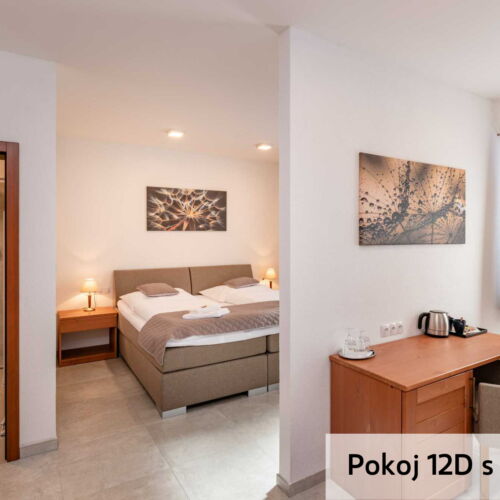 Dvoulůžkový pokoj Depandance King Bed s terasou