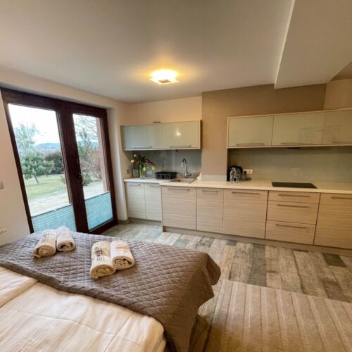 Pokój 2-osobowy ze wspólną łazienką z aneksem kuchennym