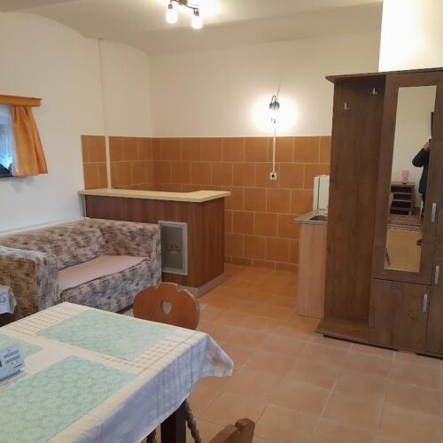 Apartament studio familial(ă) cu 1 camera pentru 4 pers. (se poate solicita pat suplimentar)