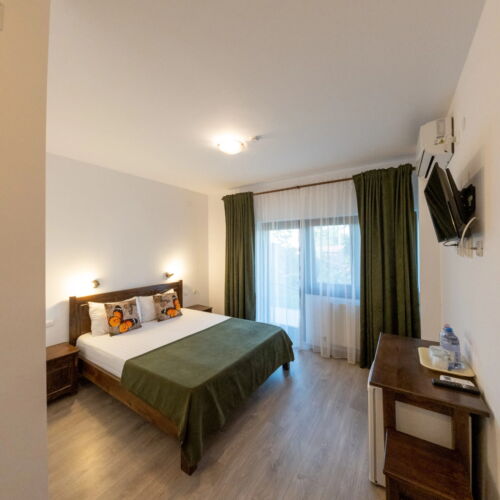 Camera dubla cu terasă