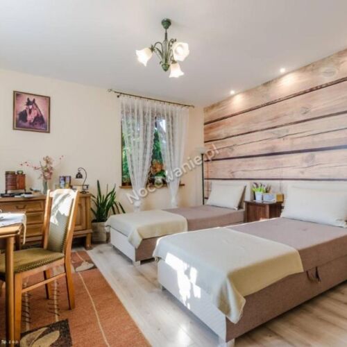 Pokój 1-osobowy na parterze (możliwa dostawka)