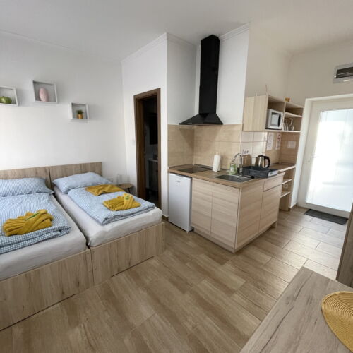 1-Room Air Conditioned Apartment for 2 Persons ensuite