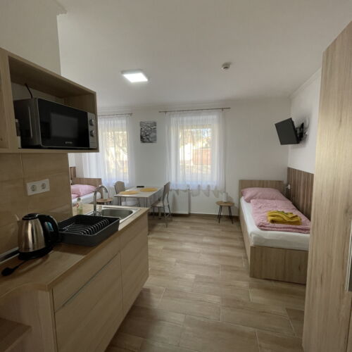 1-Room Air Conditioned Apartment for 2 Persons ensuite