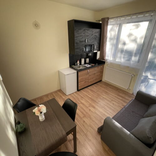 Apartament 2-osobowy z balkonem z panoramą z 1 pomieszczeniem sypialnianym (możliwa dostawka)