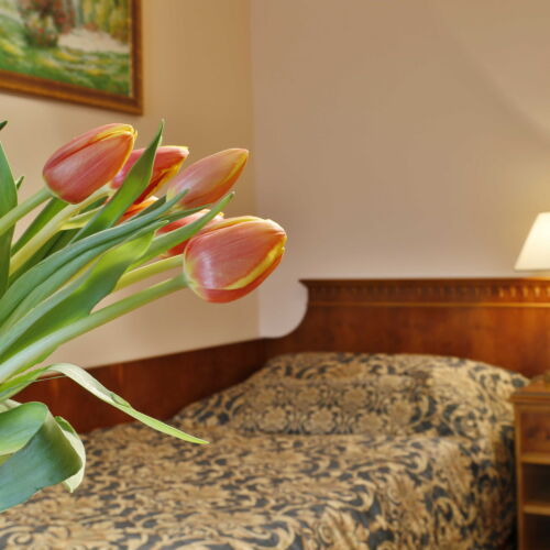 Camera single cu duș