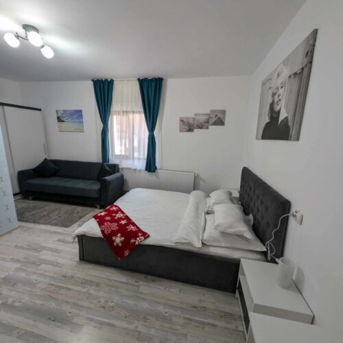 Camera dubla la parter cu baie