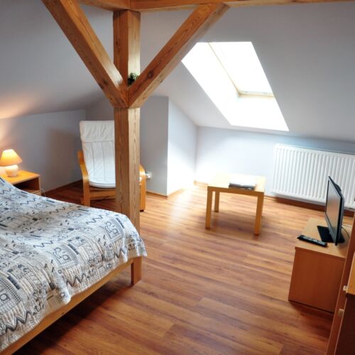 Pokój 2-osobowy na poddaszu z widokiem na las