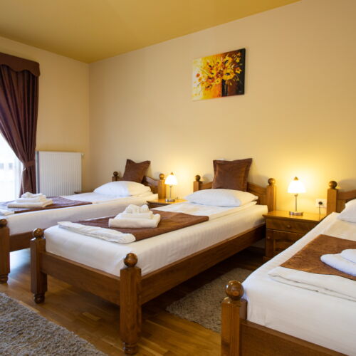 Balcony Twin Room