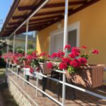Családi 6 fős apartman 3 hálótérrel