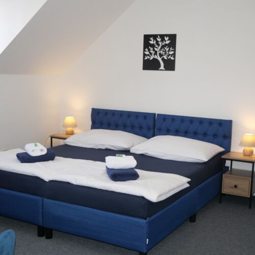 Camera twin cu baie cu duș