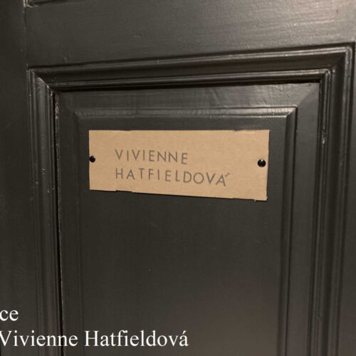 Camera twin cu duș (se poate solicita pat suplimentar)