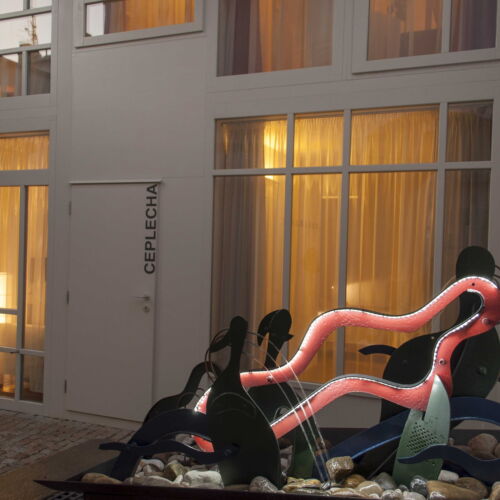 Camera twin cu duș (se poate solicita pat suplimentar)