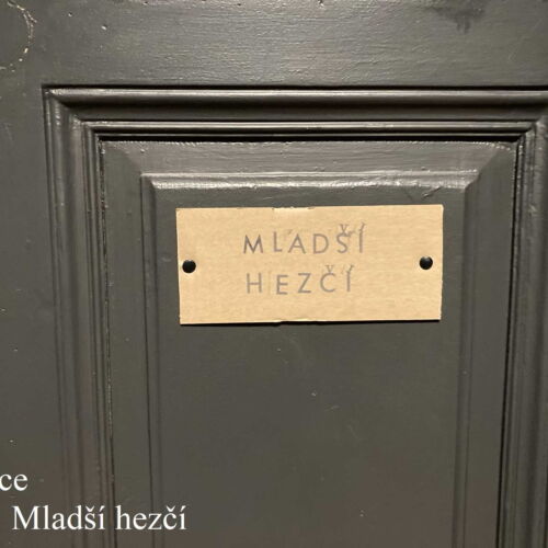 Camera twin cu duș (se poate solicita pat suplimentar)