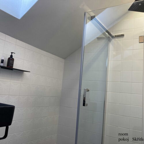 Camera twin cu duș (se poate solicita pat suplimentar)