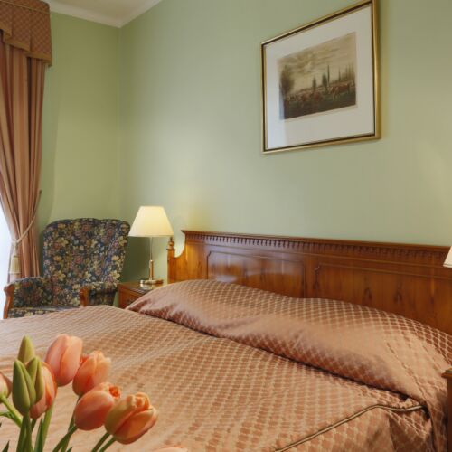 Comfort Double Room (extra bed available)
