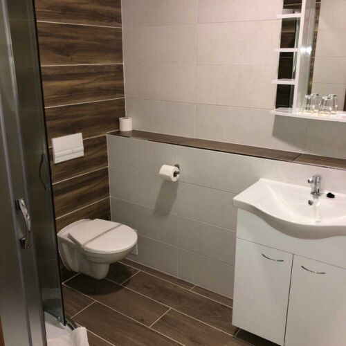 Pokoj se sprchou  s manželskou postelí