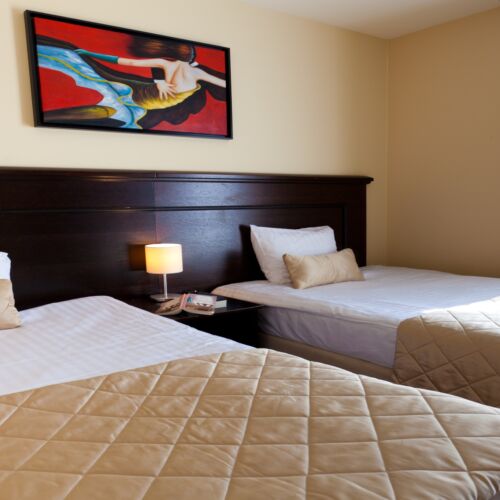 Camera cvadrupla superior cu terasă (se poate solicita pat suplimentar)