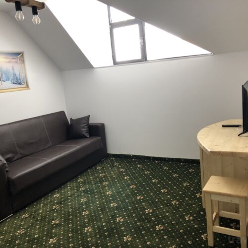 Apartament executive cu 1 camera pentru 3 pers. (se poate solicita pat suplimentar)