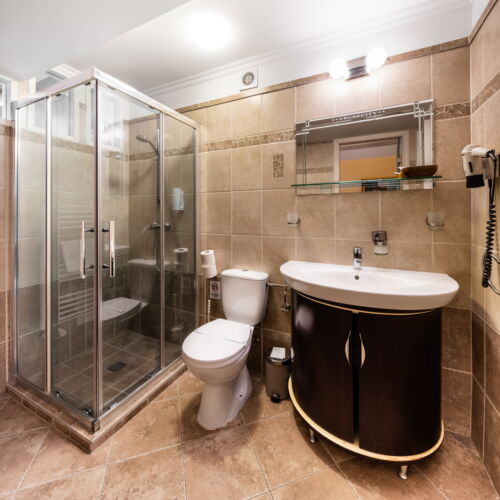 Camera single cu baie cu vedere spre parc