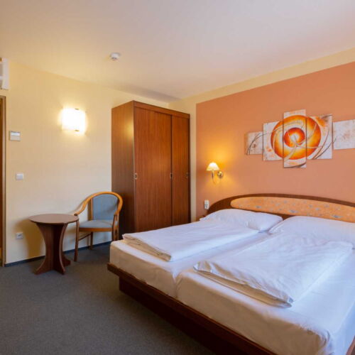 Pokój 2-osobowy z prysznicem z klimatyzacją